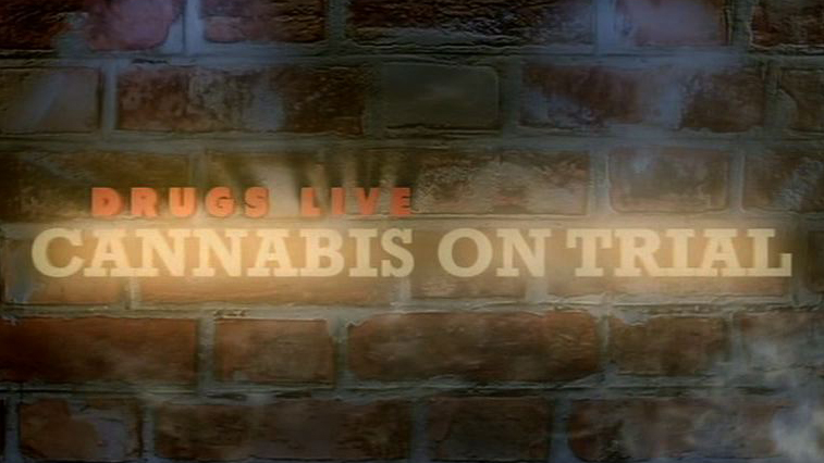 What is the truth about cannabis? 
